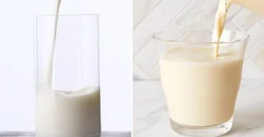 Difference Between Hollandia and Soy Milk