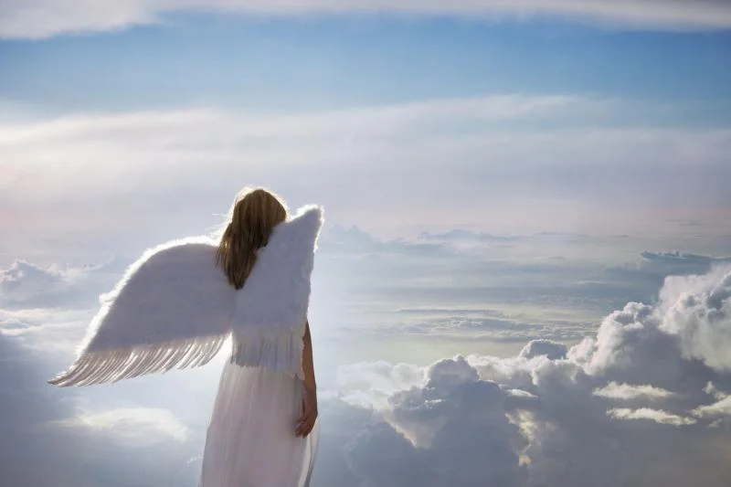 Angel