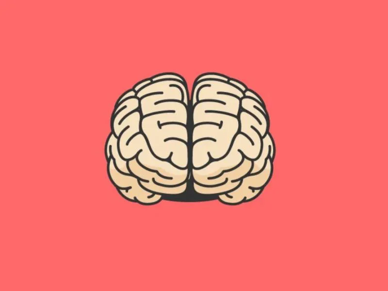 The mind and the brain are two phrases usually said to mean the same thing when made use of in a colloquial connotation. There is a significant disparity between the mind and the brain.