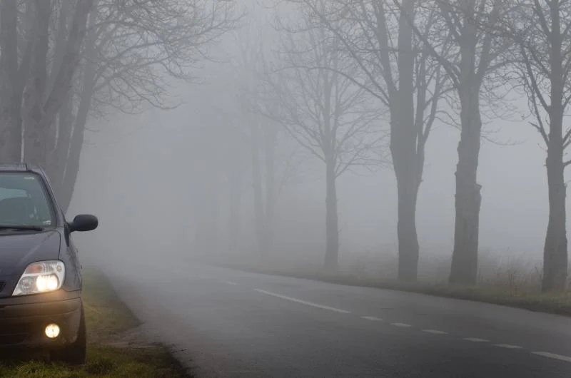 Did you realise that as the air cools in the morning, it condenses onto surfaces? That, therefore, results in a phenomenon known as dew. The difference between dew and fog is that dew condenses on surfaces when the air is cooled, while the fog is a low-lying cloud. On the other hand, fog is a dense layer of cloud that forms low to the ground and obscures visibility.