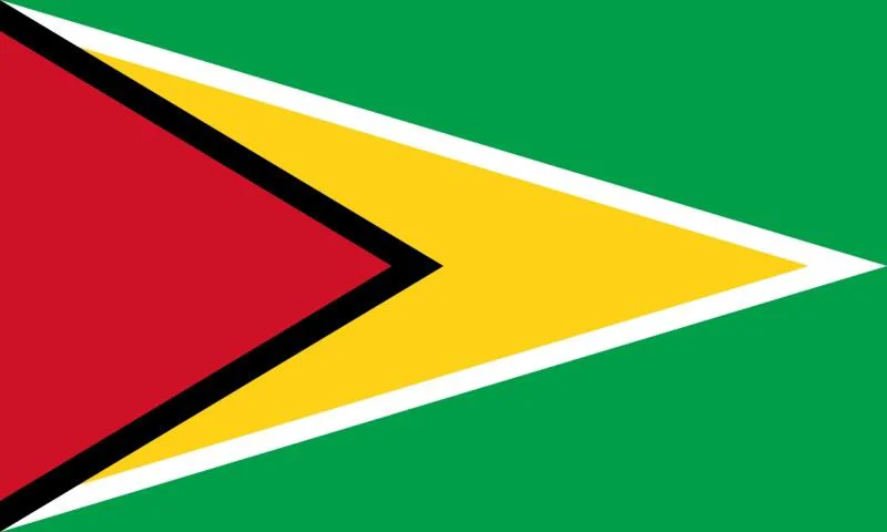 Flag of Guyana
