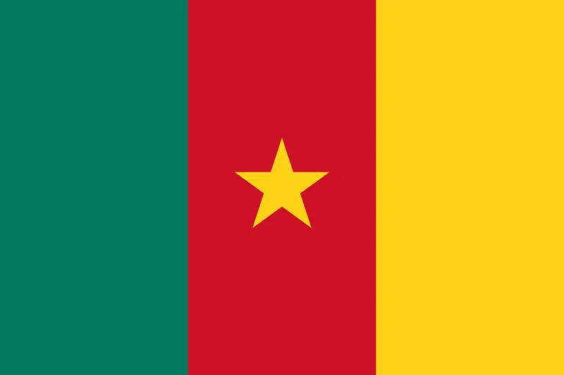 Flag of Cameroon