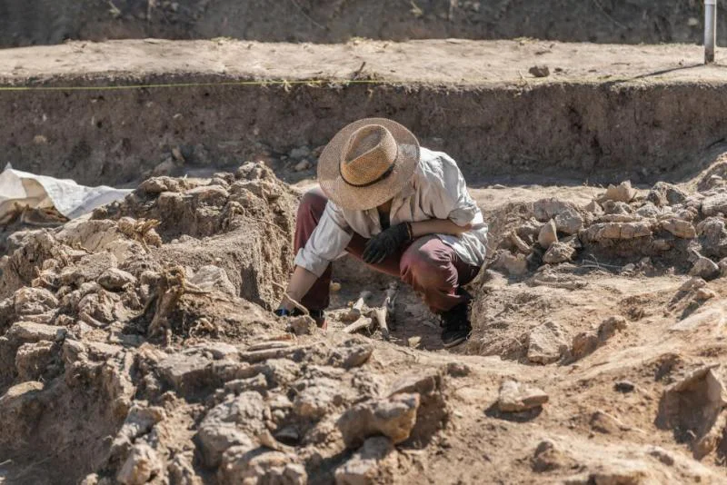 The significant difference between a historian and an archaeologist indicates that a historian researches history via written accounts, while an archaeologist researches history via excavation. Archaeologists and historians both research history, however, in various methods. These two vocations need at least a bachelor's degree, and there are mastery and obligations that they should know to prevail in these vocations.