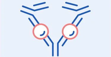 The significant difference between immediate and delayed hypersensitivity indicates that immediate hypersensitivity is a kind of allergic response within 24 hours.