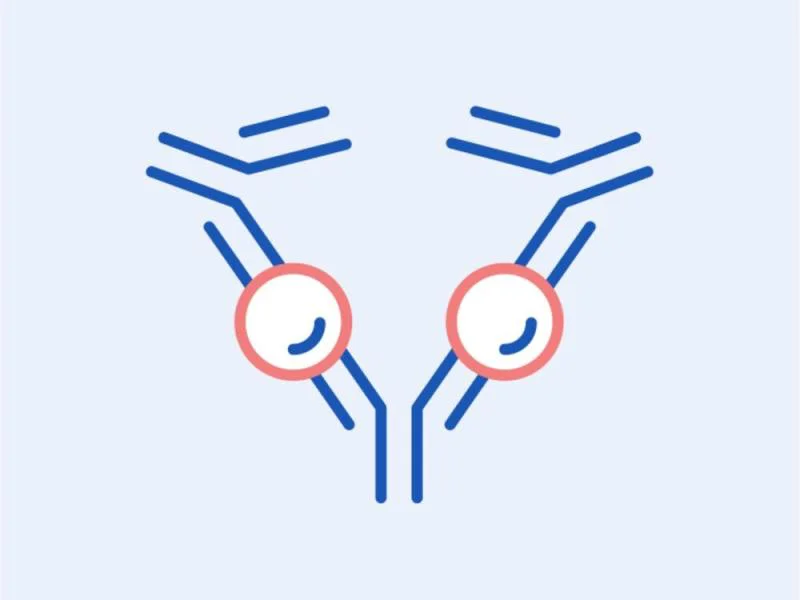The significant difference between immediate and delayed hypersensitivity indicates that immediate hypersensitivity is a kind of allergic response within 24 hours.