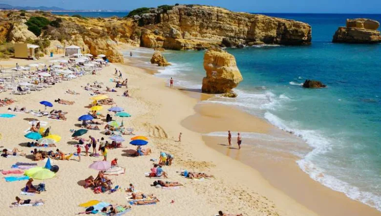 The 8 Best Beach Camping in Northern California